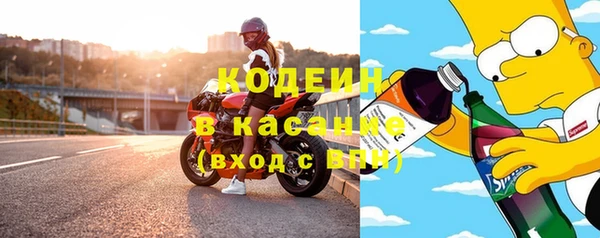 метадон Гусев