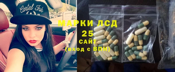 метадон Гусев