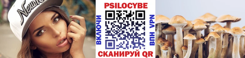 Купить  Себеж  Псилоцибиновые грибы ЛСД 